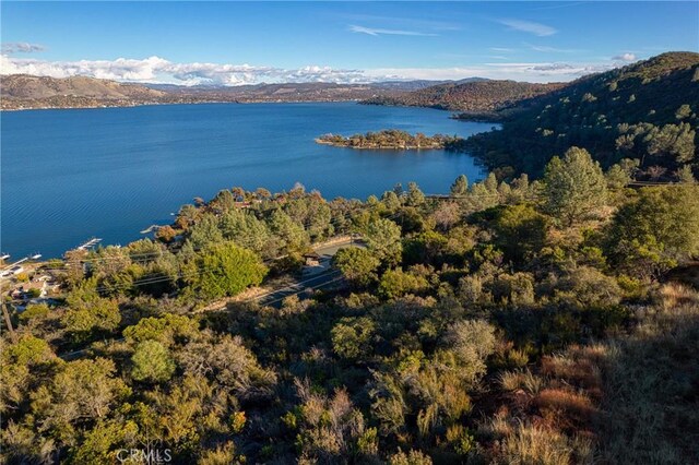 11279 Point Lakeview Rd, Kelseyville, CA 95451 - photo 15