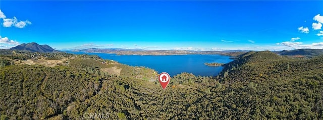 11279 Point Lakeview Rd, Kelseyville, CA 95451 - photo 6