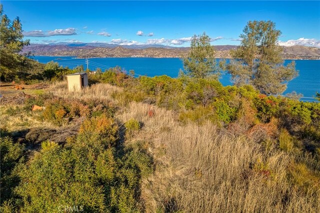 11279 Point Lakeview Rd, Kelseyville, CA 95451 - photo 26