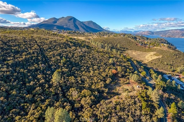 11279 Point Lakeview Rd, Kelseyville, CA 95451 - photo 25