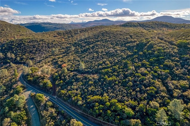 11279 Point Lakeview Rd, Kelseyville, CA 95451 - photo 19