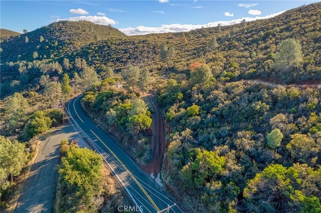 11279 Point Lakeview Rd, Kelseyville, CA 95451 - photo 20