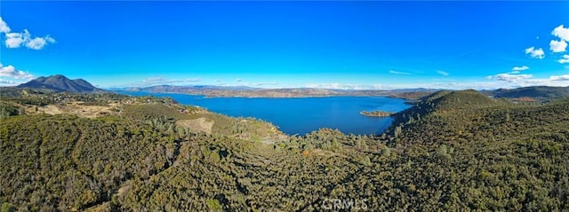 11279 Point Lakeview Rd, Kelseyville, CA 95451 - photo 7