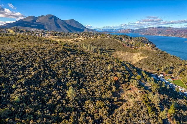 11279 Point Lakeview Rd, Kelseyville CA, 95451 land for sale