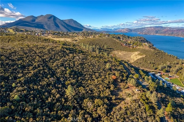11279 Point Lakeview Rd, Kelseyville, CA 95451 - photo 1