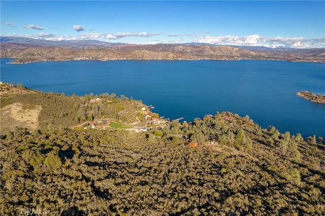 11279 Point Lakeview Rd, Kelseyville, CA 95451 - photo 4