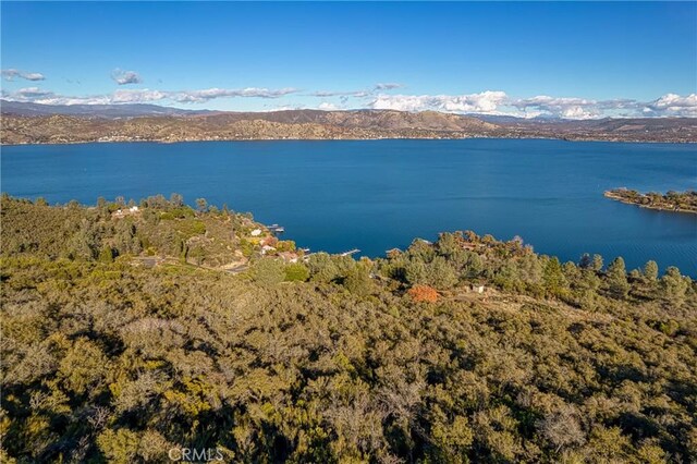 11279 Point Lakeview Rd, Kelseyville, CA 95451 - photo 8