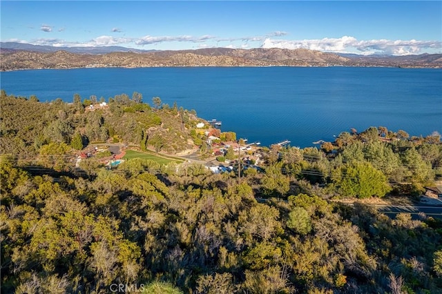 11279 Point Lakeview Rd, Kelseyville, CA 95451 - photo 13