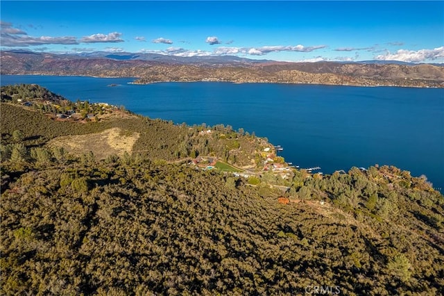 11279 Point Lakeview Rd, Kelseyville, CA 95451 - photo 3