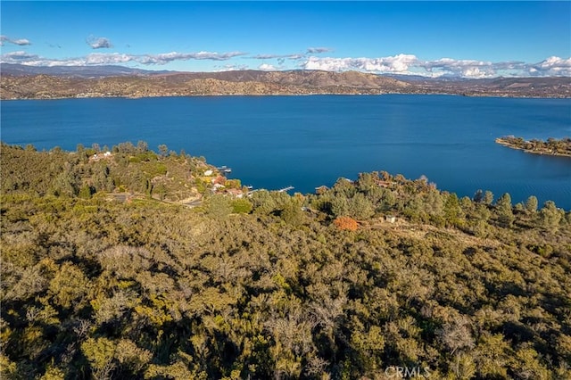 11279 Point Lakeview Rd, Kelseyville, CA 95451 - photo 9