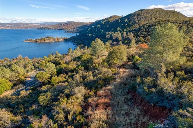 11279 Point Lakeview Rd, Kelseyville, CA 95451 - photo 12