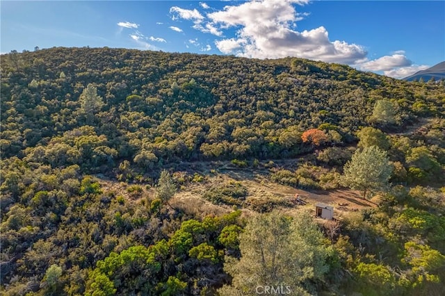11279 Point Lakeview Rd, Kelseyville, CA 95451 - photo 23