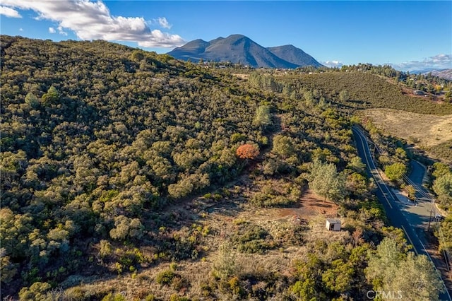 11279 Point Lakeview Rd, Kelseyville, CA 95451 - photo 2