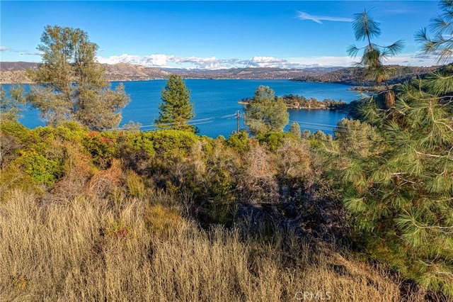 11279 Point Lakeview Rd, Kelseyville, CA 95451 - photo 27