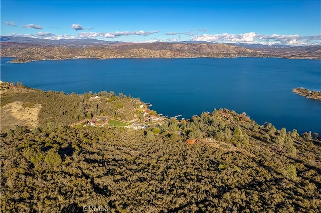 11279 Point Lakeview Rd, Kelseyville, CA 95451 - photo 5