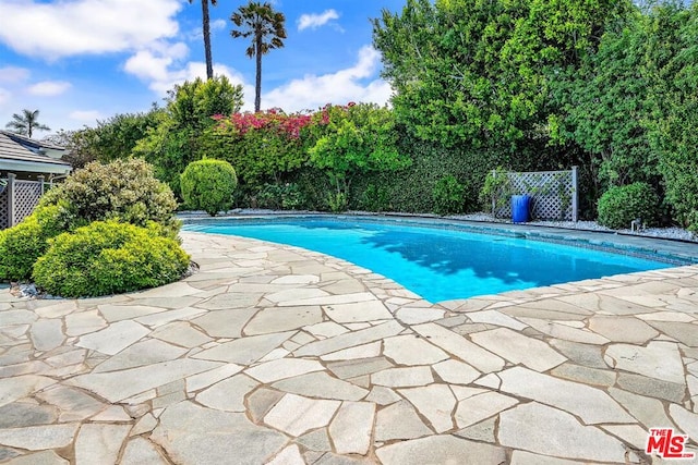 view of swimming pool with a patio area