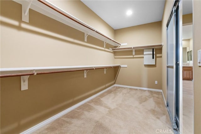 walk in closet with light carpet