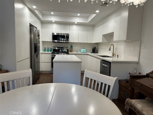 kitchen with appliances with stainless steel finishes, a tray ceiling, sink, white cabinets, and a center island