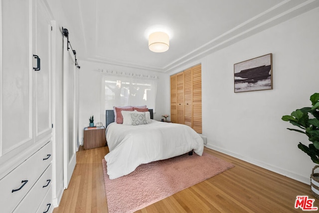 bedroom with a closet and light wood-type flooring