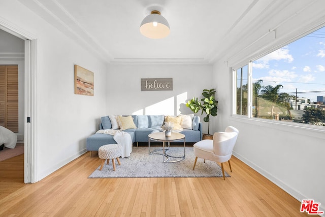 sitting room with hardwood / wood-style floors