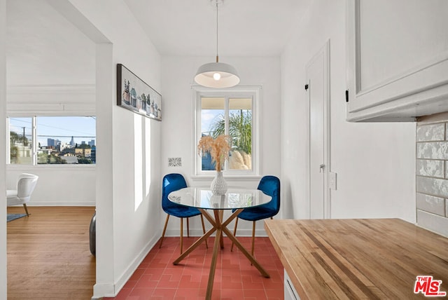 dining room featuring hardwood / wood-style floors