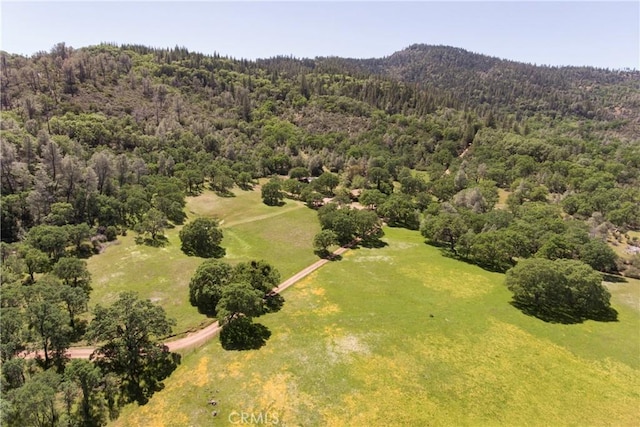 19665 Oat Hill Rd, Middletown, CA 95461 - photo 44
