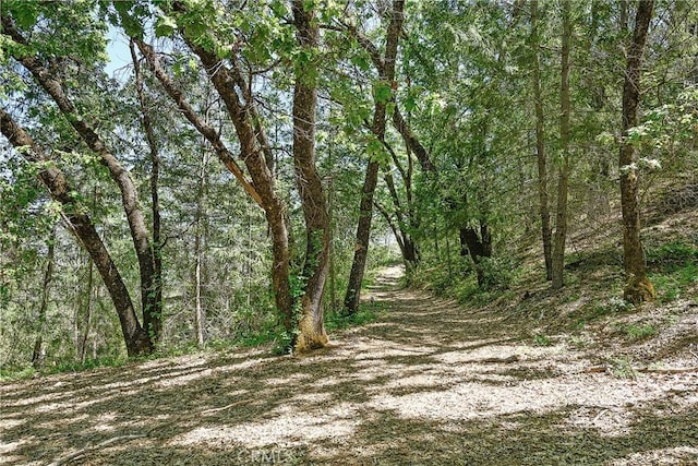 19665 Oat Hill Rd, Middletown, CA 95461 - photo 36