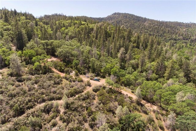 19665 Oat Hill Rd, Middletown, CA 95461 - photo 43
