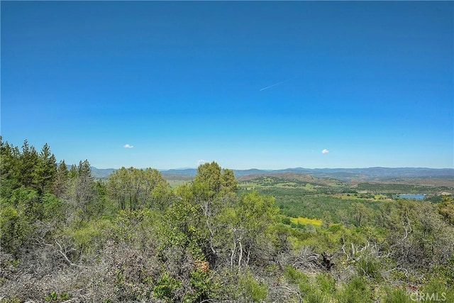 19665 Oat Hill Rd, Middletown, CA 95461 - photo 32