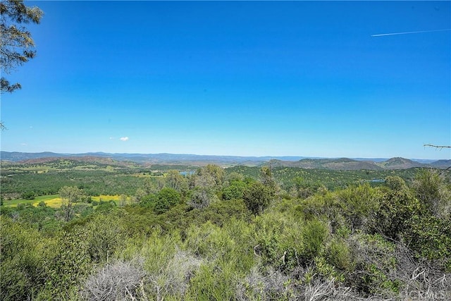 19665 Oat Hill Rd, Middletown, CA 95461 - photo 5