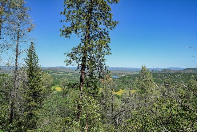 19665 Oat Hill Rd, Middletown, CA 95461 - photo 37