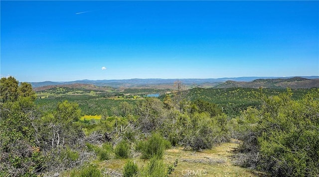 19665 Oat Hill Rd, Middletown, CA 95461 - photo 33