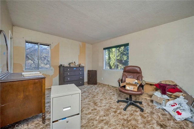 19665 Oat Hill Rd, Middletown, CA 95461 - photo 19
