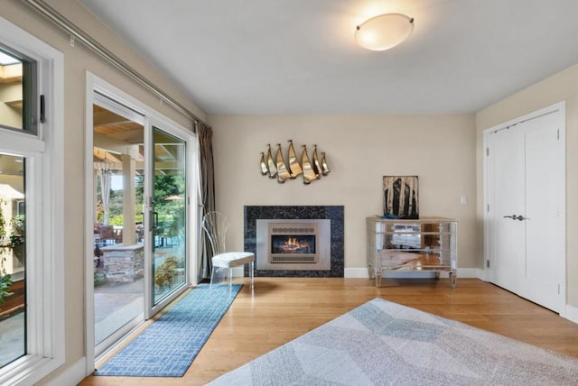 sitting room with hardwood / wood-style floors