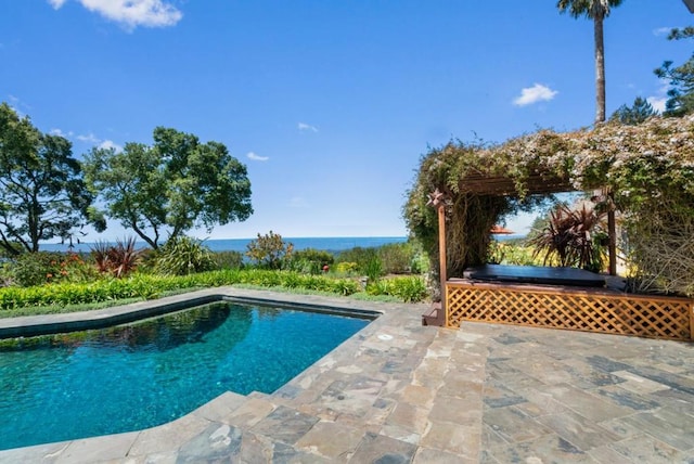 view of pool with a water view and a patio