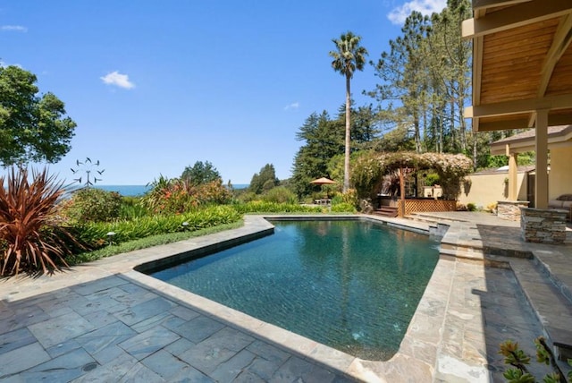 view of pool featuring a patio