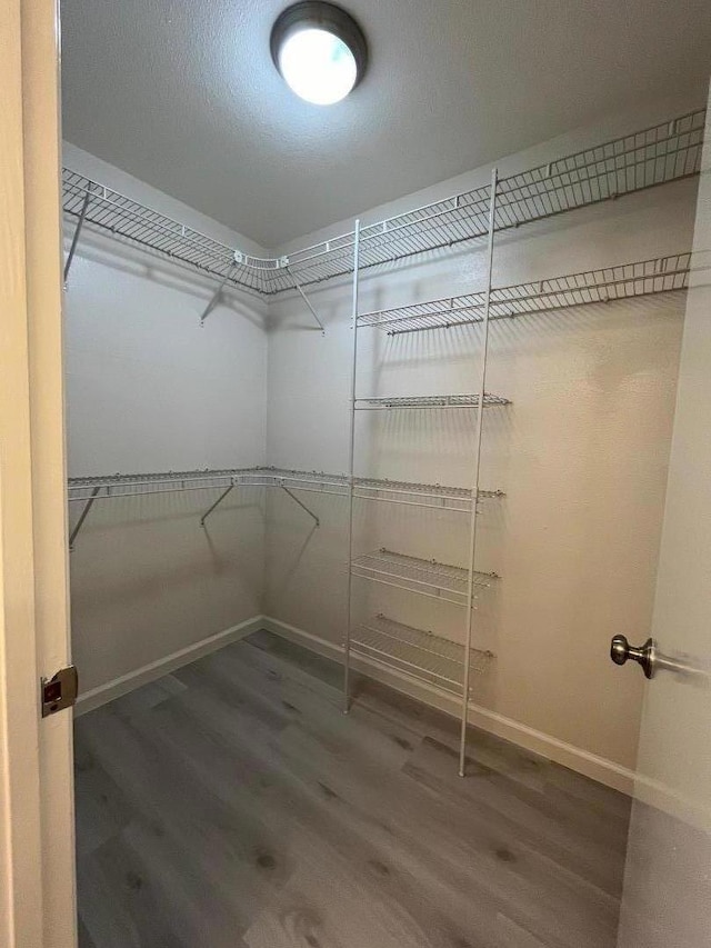 spacious closet featuring dark wood-type flooring