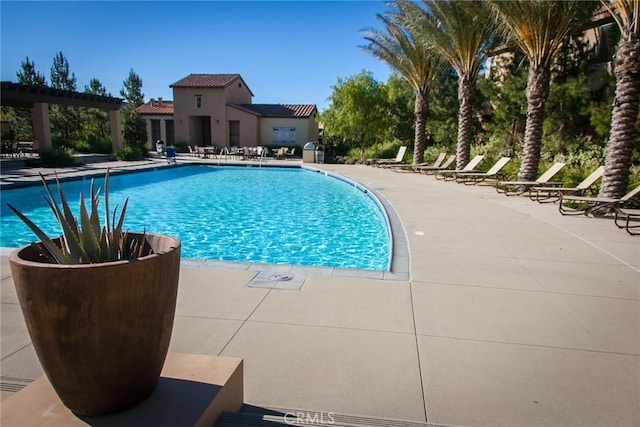 view of swimming pool