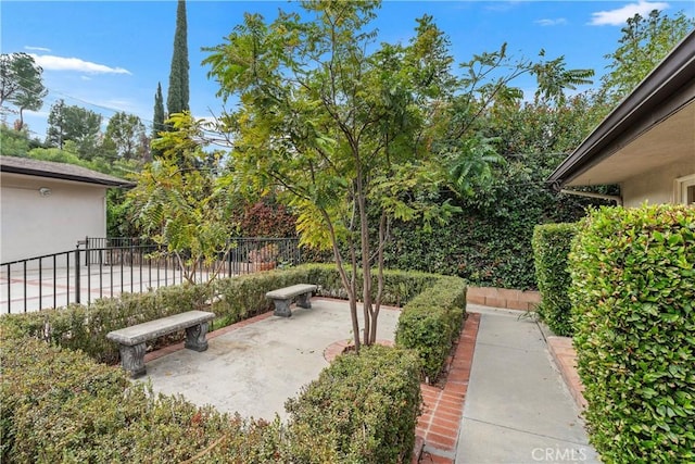 view of yard with a patio