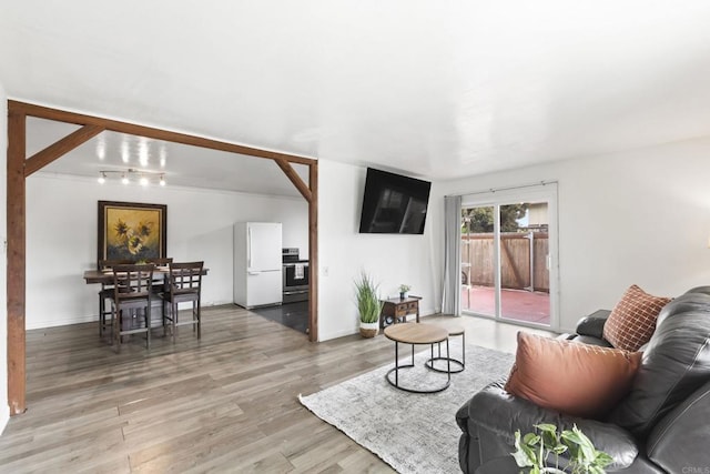 living room with rail lighting and wood-type flooring