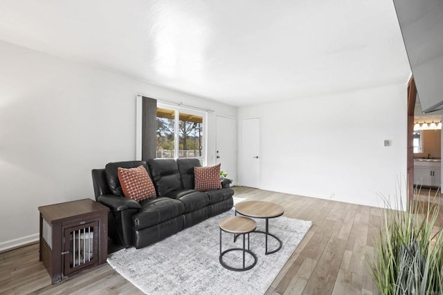 living area featuring light wood-style floors