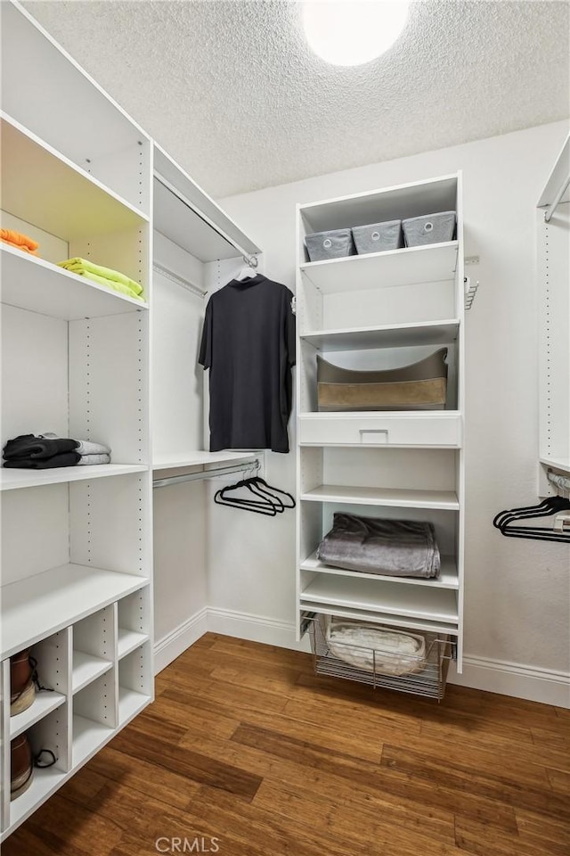 walk in closet featuring wood-type flooring