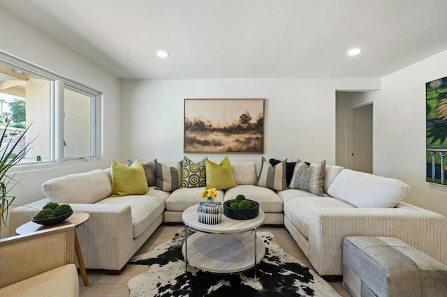 living room featuring light wood-type flooring