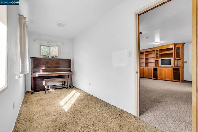 interior space featuring carpet floors