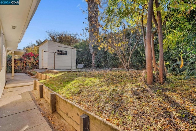 view of yard featuring a shed