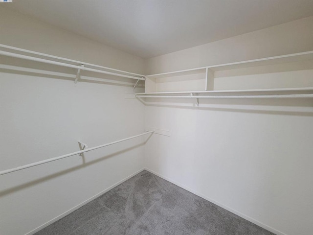 walk in closet featuring carpet