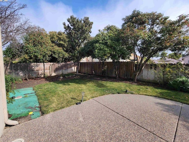 view of yard with a patio