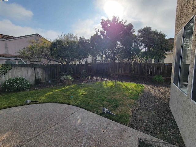 view of yard featuring a patio area