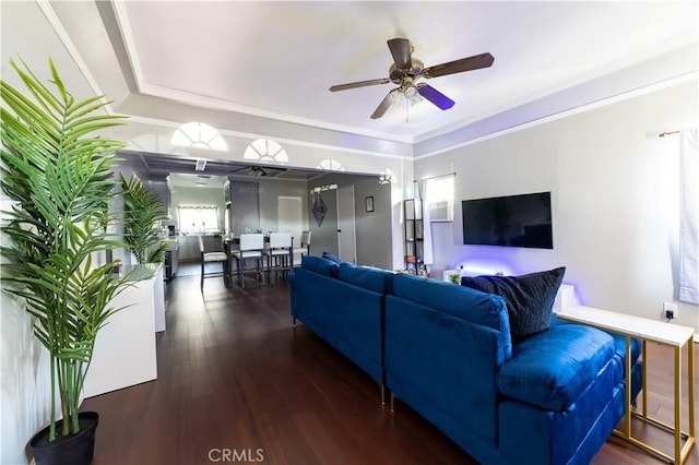 living room with ornamental molding, ceiling fan, and dark wood-type flooring