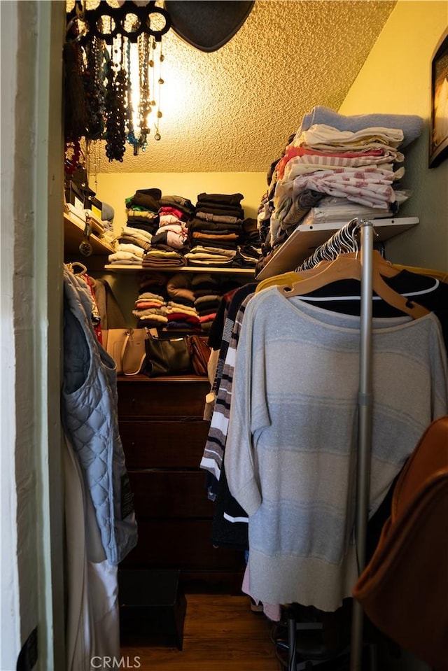 spacious closet featuring dark hardwood / wood-style floors